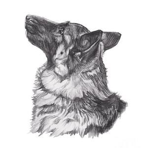 Meet your Posher, Phillip